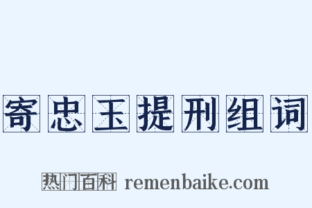 寄忠玉提刑组词是什么意思的图片